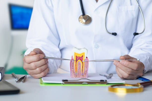Best Emergency Wisdom Teeth Removal in August, CA